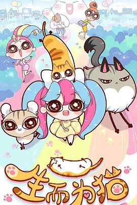 云岩谷歌seo怎么优化引流